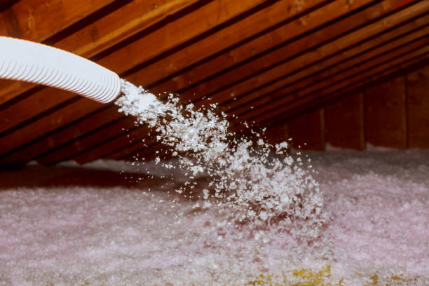 Best Insulation Maintenance and Repair in Fruitridge Pocket, CA