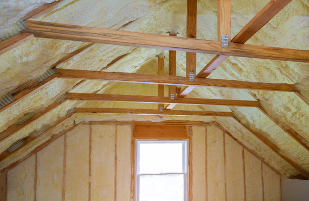 Best Specialized Insulation Services in Fruitridge Pocket, CA