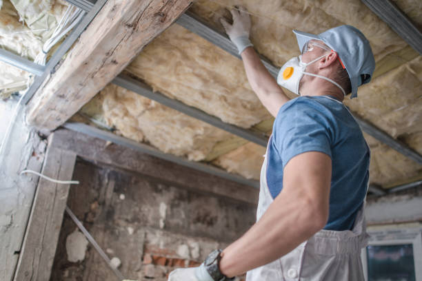 Professional Insulation Contractor in Fruitridge Pocket, CA