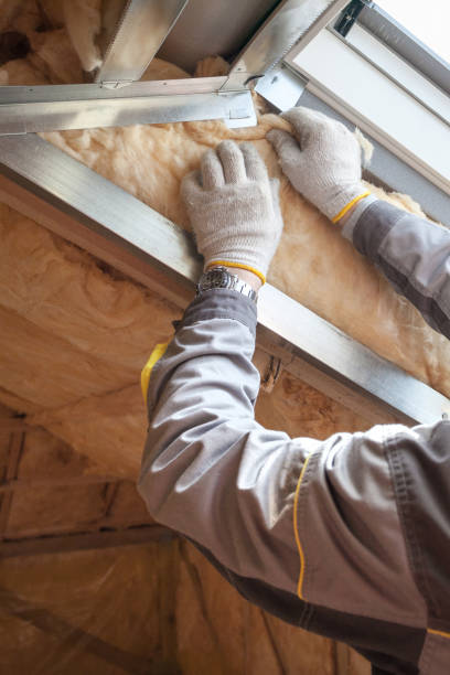 Best Blown-in Insulation in Fruitridge Pocket, CA
